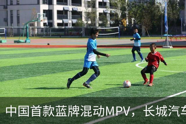 中国首款蓝牌混动MPV，长城汽车正式向丰田宣战