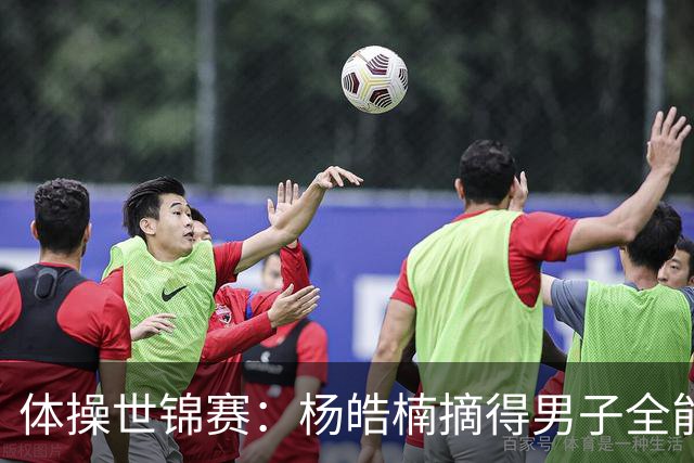 体操世锦赛：杨皓楠摘得男子全能银牌