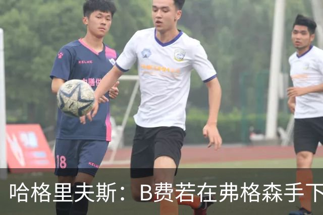 哈格里夫斯：B费若在弗格森手下说这话，就没机会再上场了