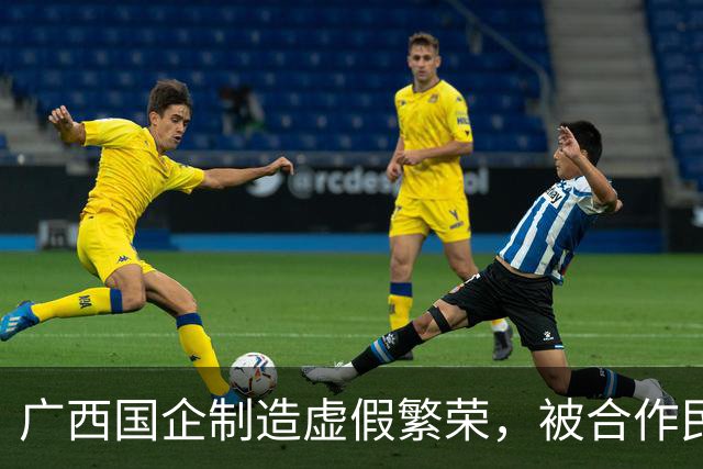 广西国企制造虚假繁荣，被合作民企当成提款机