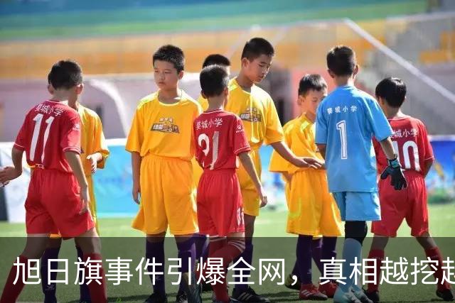 旭日旗事件引爆全网，真相越挖越后怕，董明珠一年前的担心没说错