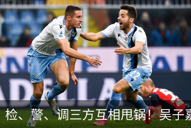 检、警、调三方互相甩锅！吴子嘉上演反击教科书，郑丽文可以效仿
