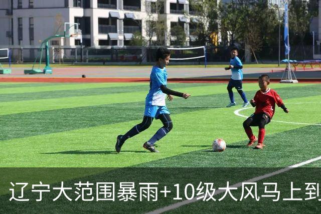 辽宁大范围暴雨+10级大风马上到，沈阳重点时段公布→