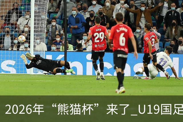 2026年“熊猫杯”来了 U19国足11月坐镇成都，首战越南末轮碰韩国